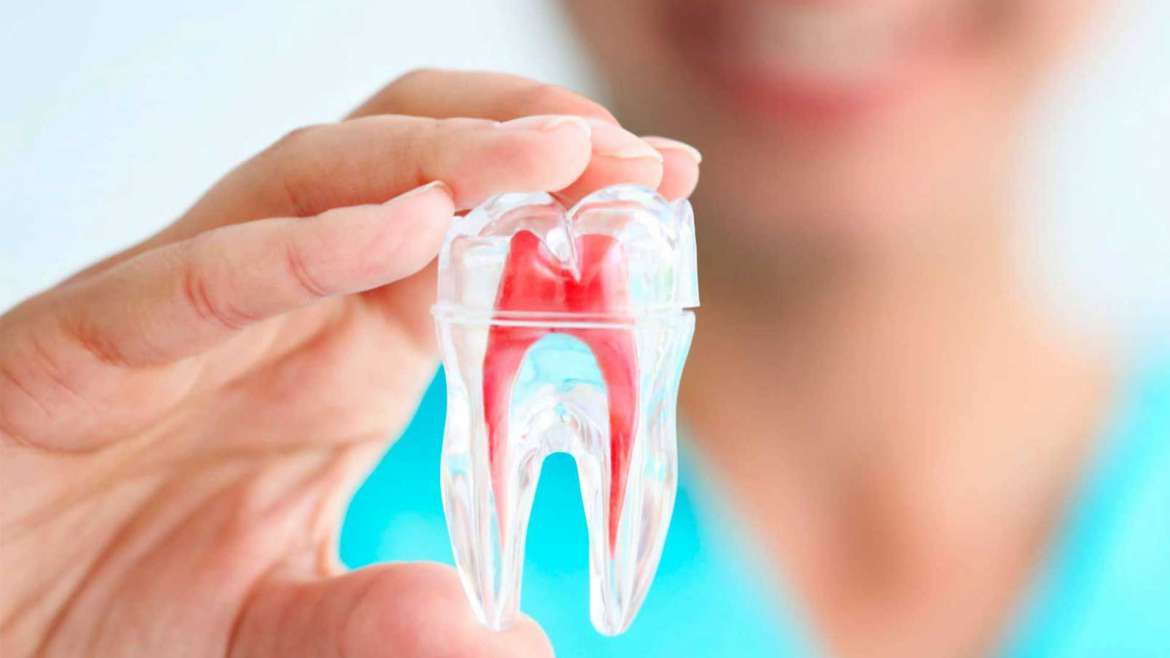 Endodoncia Nivel I A - Jueves 2019